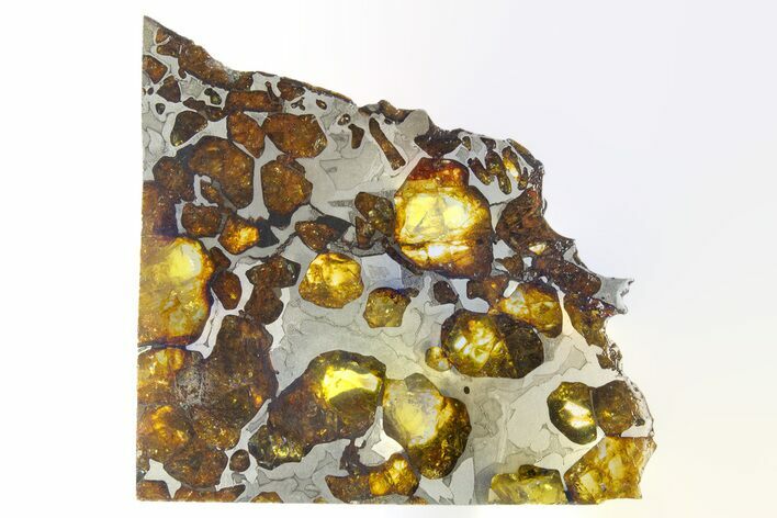 Polished Imilac Pallasite Meteorite ( g) Slice #315425